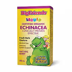 BigFriends Echinacea Alcohol-Free Fresh Herb Tincture for Kids - 50 ml (Пошкоджена банка)