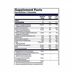 Focus-Saurus - 30 chewables Grape