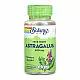 Solaray Astragalus Root 400mg - 100 vcaps 2023-10-6713
