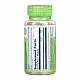 Solaray Astragalus Root 400mg - 100 vcaps 2023-10-6713