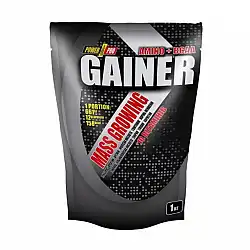 Gainer - 1000g Wild Berry (Повреждена упаковка)
