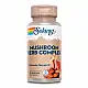 Solaray Mushroom Herb Complete - 90 vcaps 2023-10-2148