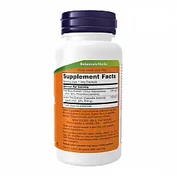 Pine Bark Extract 240mg - 90 caps