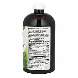 Chlorofresh® Liquid - 16 oz Mint (Повреждена банка)