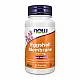 Now Foods Eggshell Membrane 500mg - 60 caps 2023-10-5249
