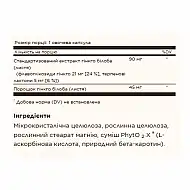 SFP Ginkgo Biloba Leaf Extract - 180 vcaps