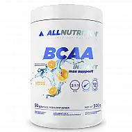 BCAA Max Support Instant - 500g Orange