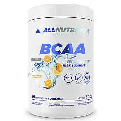 BCAA Max Support Instant - 500g Orange