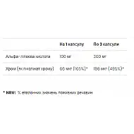 Alpha Lipoic Acid - 90 caps
