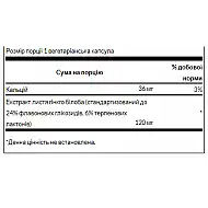 Ginkgo Biloba Extract 120 mg - 100 veg caps