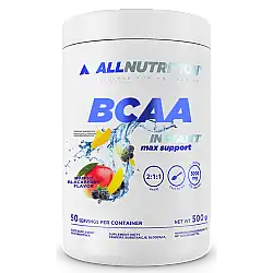 BCAA Max Support Instant - 500g Mango Blackberry (До 10.26)