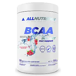 BCAA Max Support Instant - 500g Raspberry