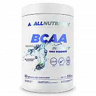 BCAA Max Support Instant - 500g Bllueberry