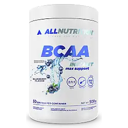 BCAA Max Support Instant - 500g Bllueberry