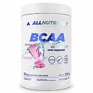 BCAA Max Support Instant - 500g Bubble Gum