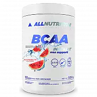BCAA Max Support Instant - 500g Watermelon