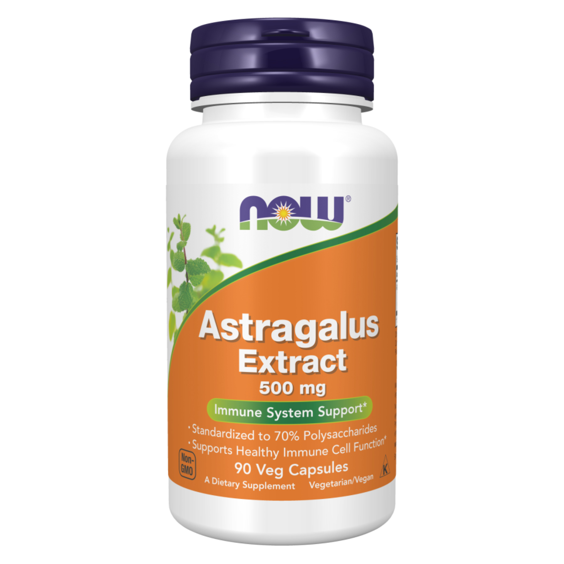Now Foods Astragalus Extract 500mg - 90vcaps 100-44-3043819-20
