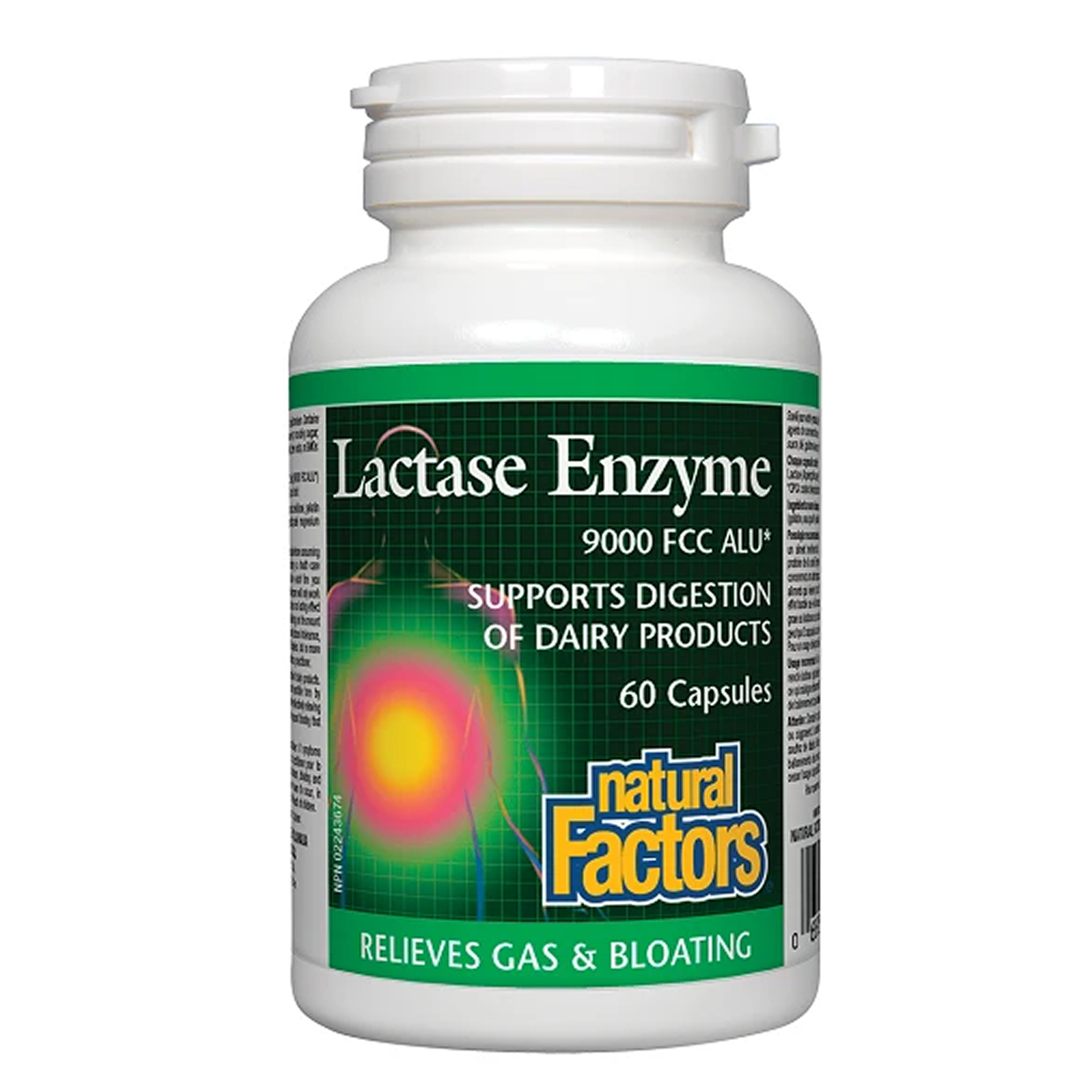 Natural Factors Lactase Enzyme - 60 caps 2023-10-6540
