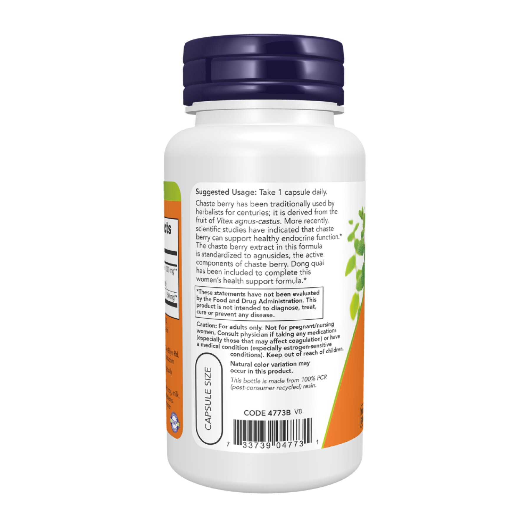 Now Foods Chaste Berry Vitex Extract 300 mg - 90 vcaps 2023-10-2496