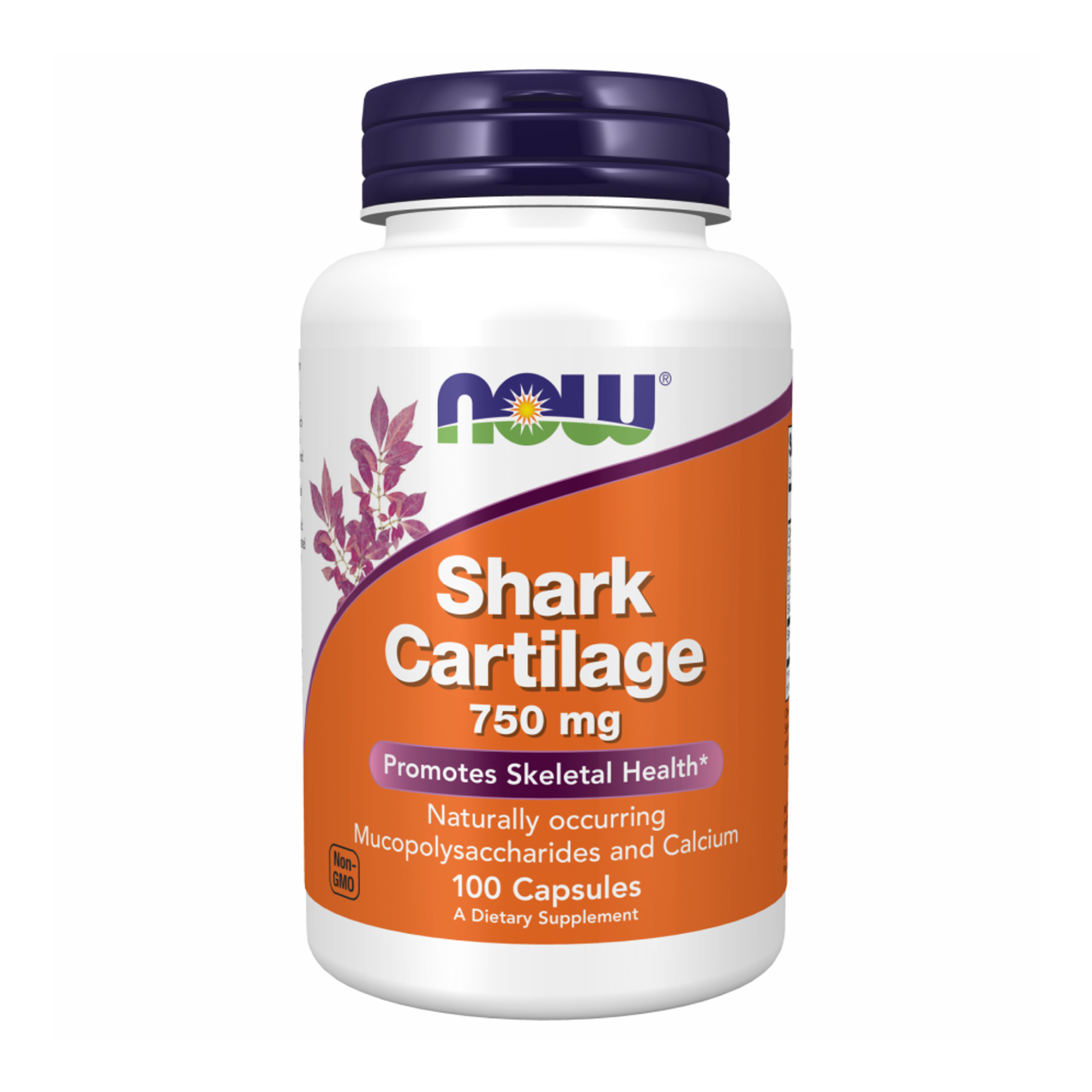 Now Foods Shark Cartilage 750mg - 100caps 100-17-9129764-20