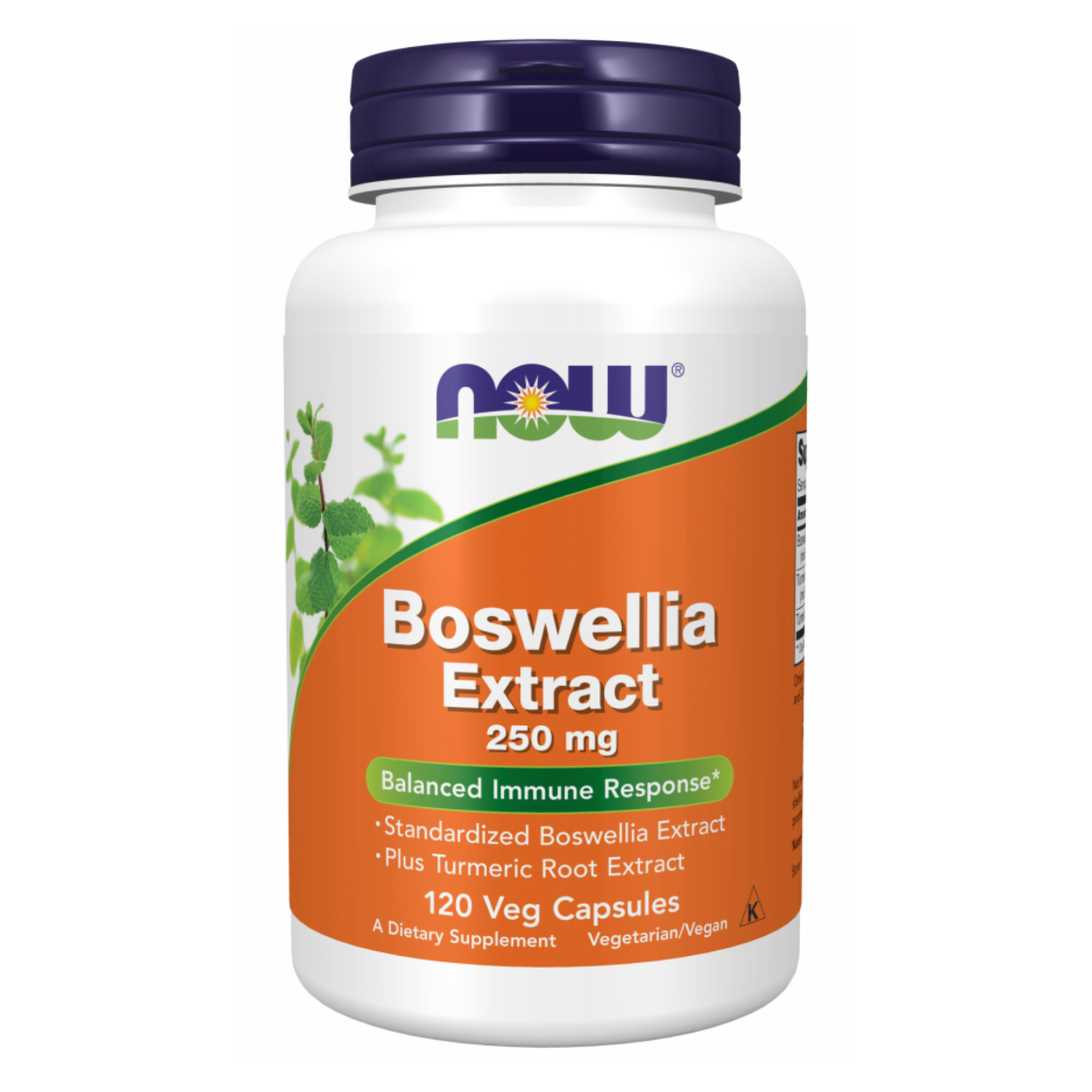 Now Foods Boswellia Extract 250 mg - 120 vcaps 2022-10-0986