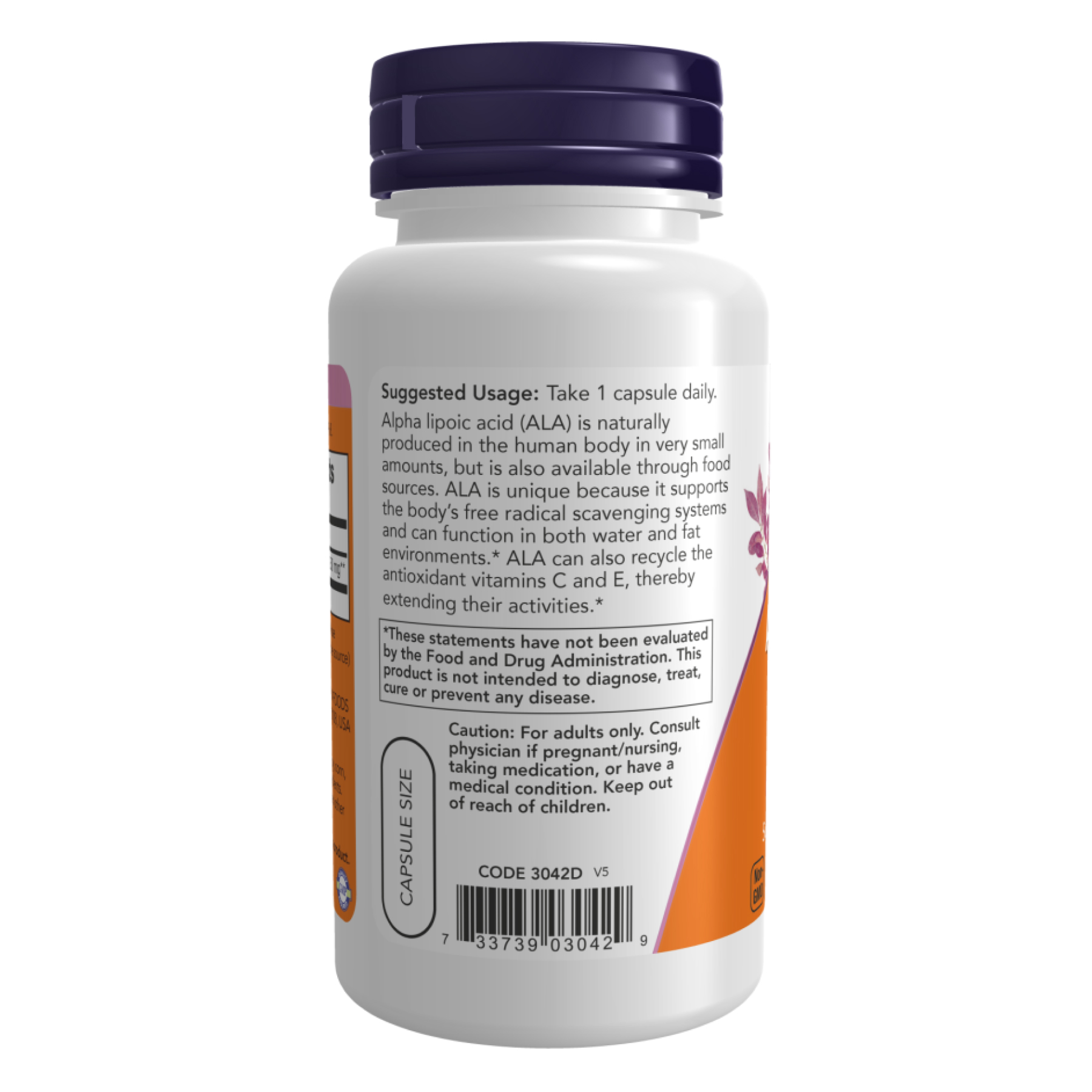 Now Foods Alpha Lipoic Acid 250mg - 120 vcaps 2022-10-2618