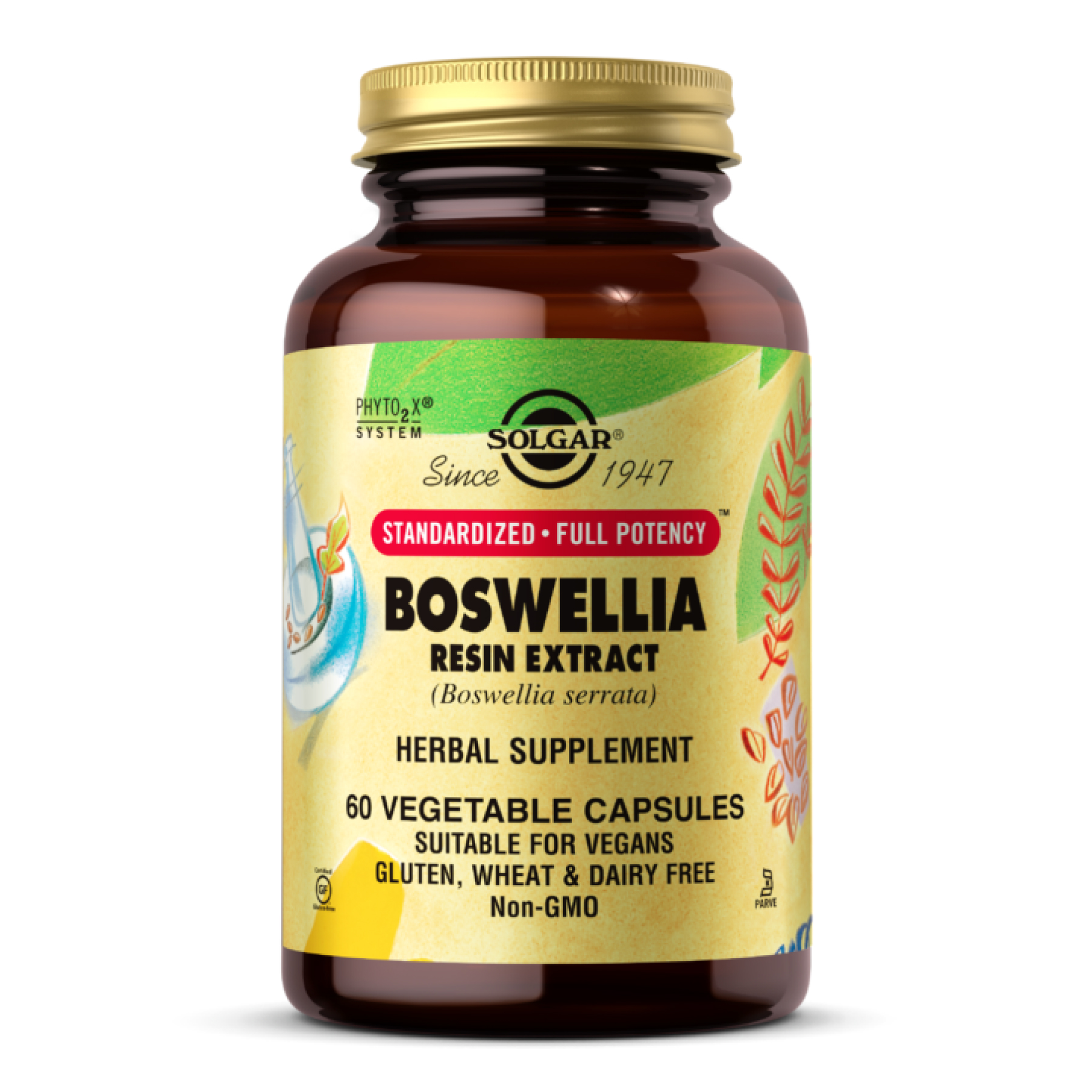 Solgar SFP Boswellia Resin Extract - 60 vcaps 2022-10-1556