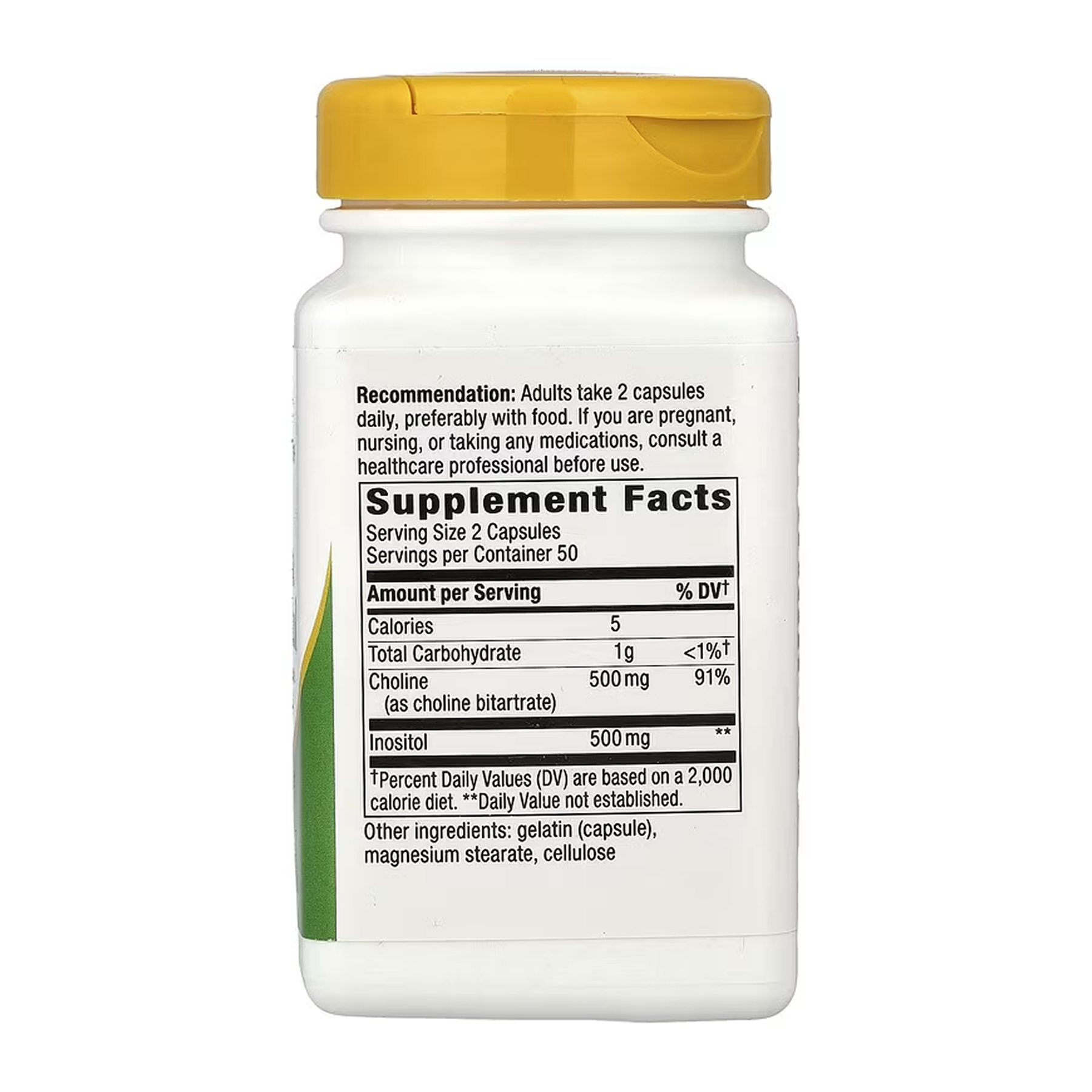 Nature's Way Choline & Inositol - 100 caps 2022-10-1076