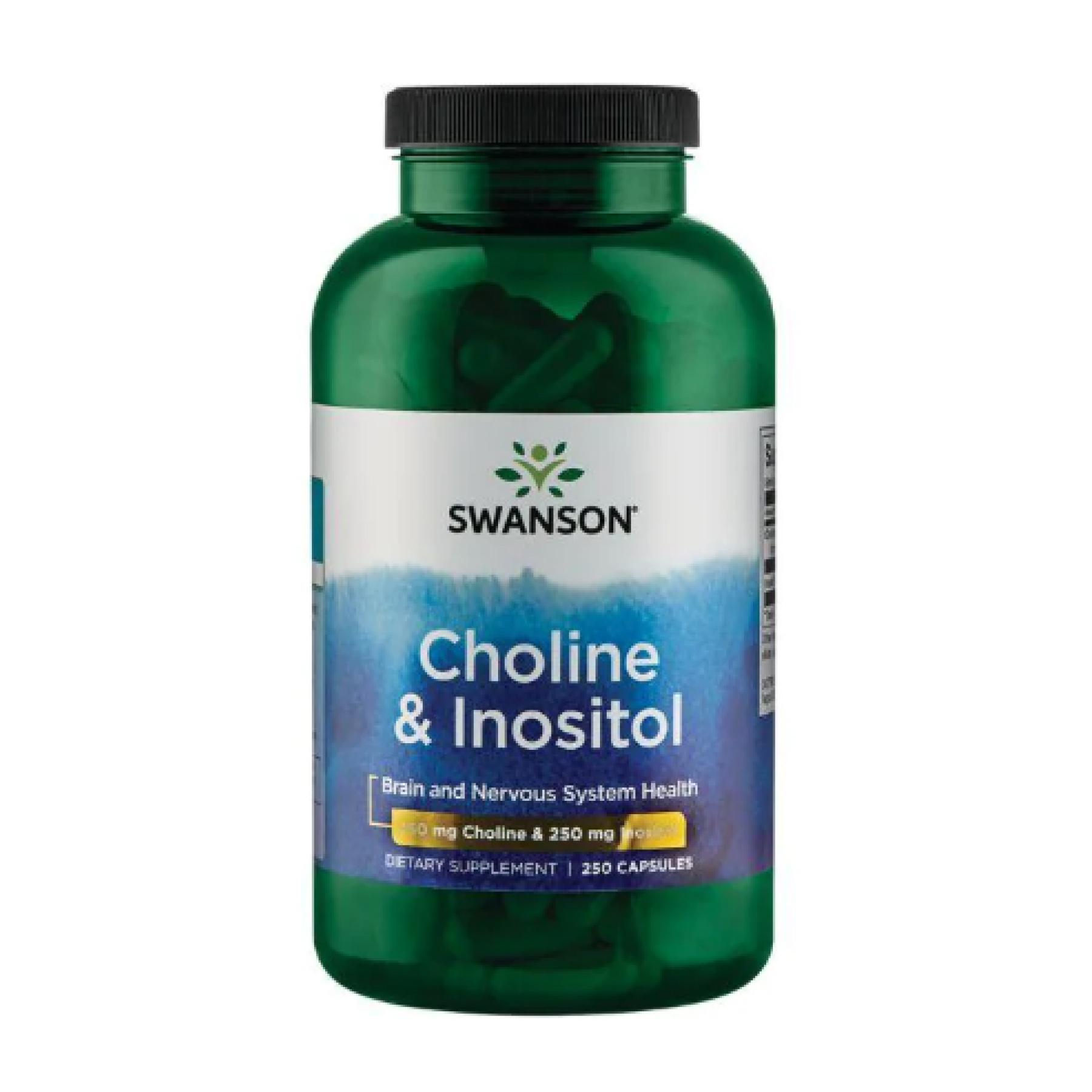 Swanson Choline Inos 250mg - 250caps 100-89-8861758-20