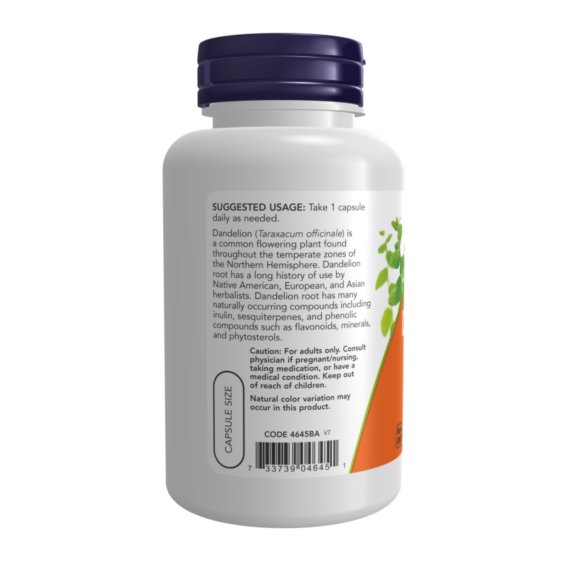 Now Foods Dandelion Root 500 mg - 100 vcaps 2023-10-2509
