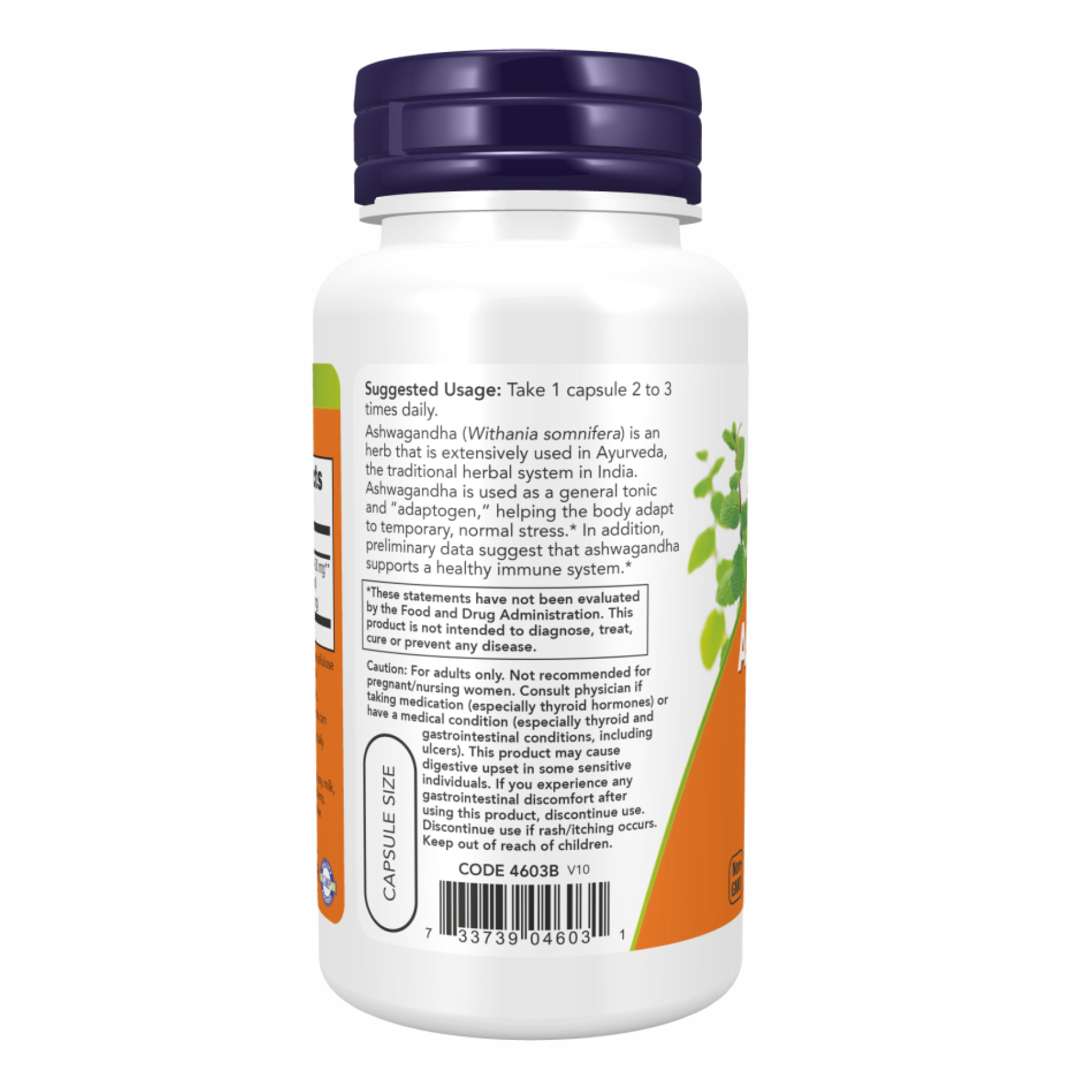 Now Foods Ashwagandha 450 mg - 90 vcaps 2022-10-0114